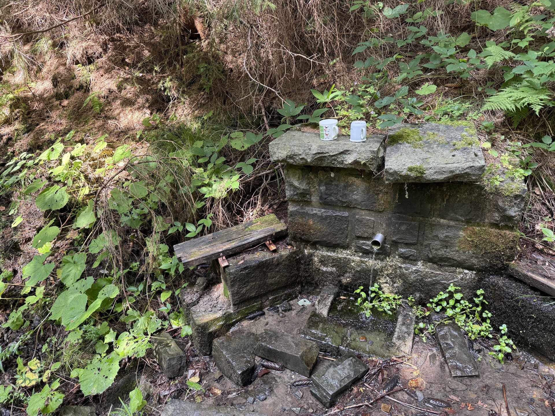 A new studánka where none stood before